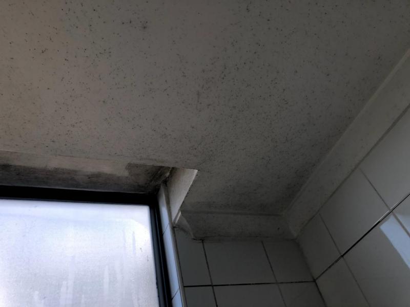 SP52948-Lot-43-bathroom-ceiling-photo-2-12Jul2020.jpg