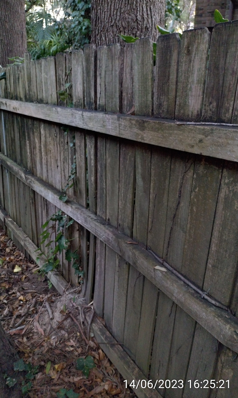 SP52948-appearance-of-timber-fence-behind-townhouses-photo-15-14Jun2023.webp