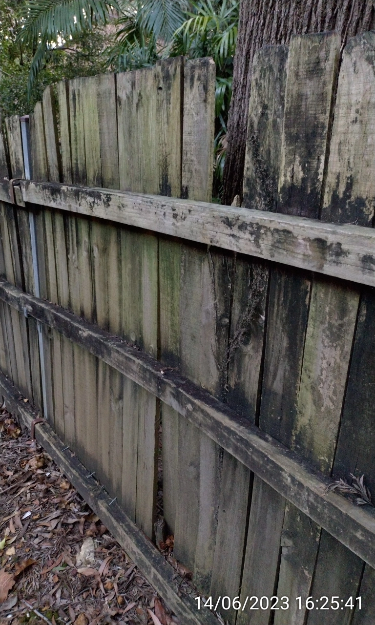 SP52948-appearance-of-timber-fence-behind-townhouses-photo-19-14Jun2023.webp