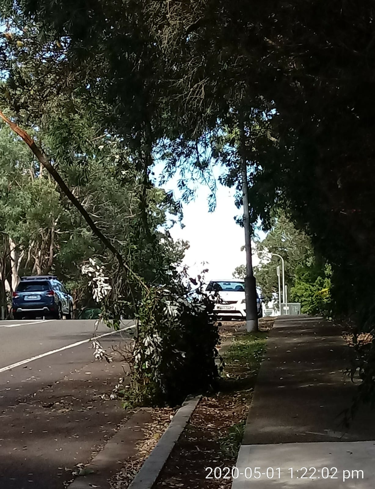 SP52948-broken-tree-branch-towards-Fontenoy-Road-photo-2-1May2020.jpg