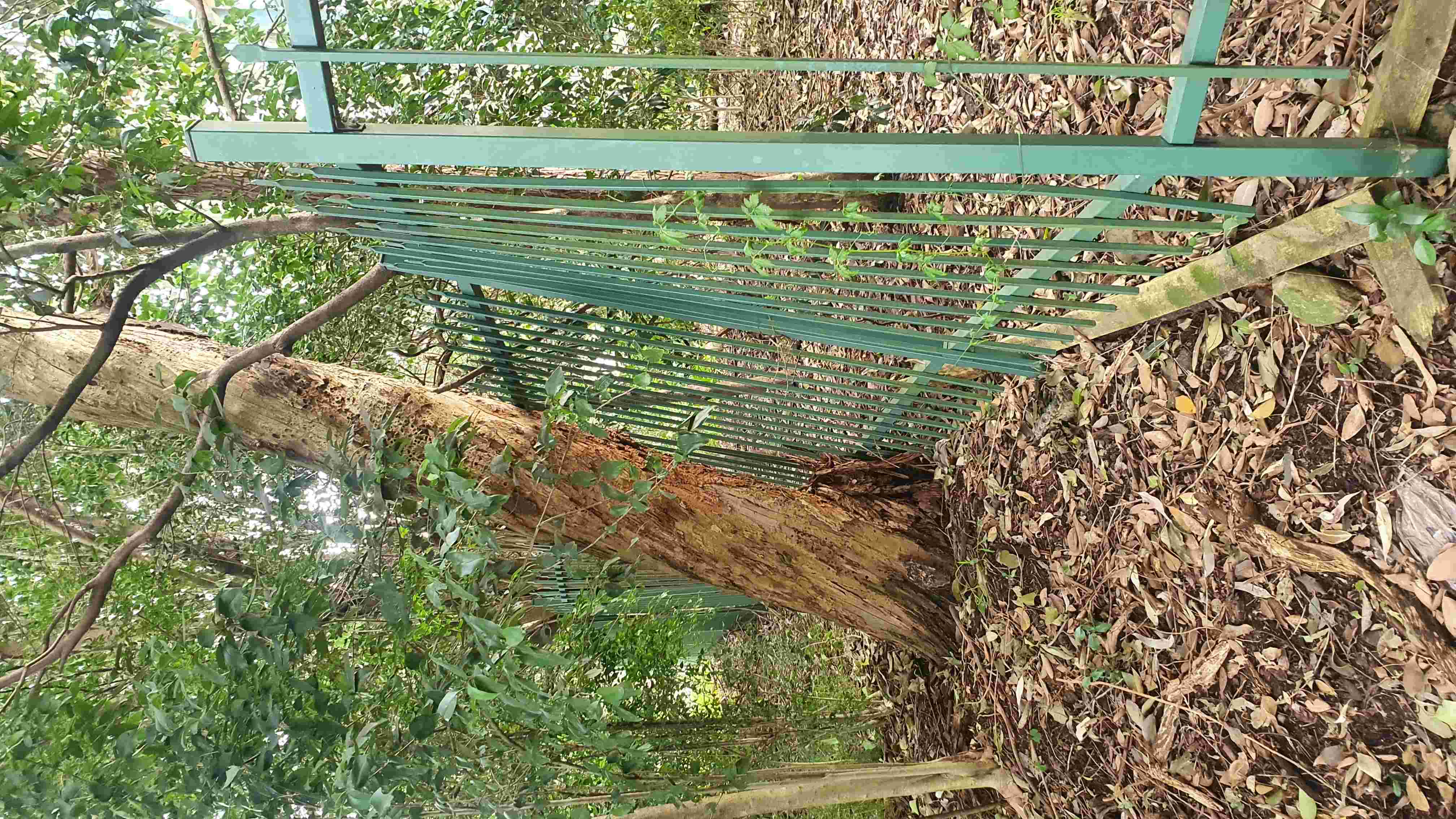 SP52948-danger-of-collapsing-fence-toward-Lane-Cove-Road-photo-1-21Jun2022