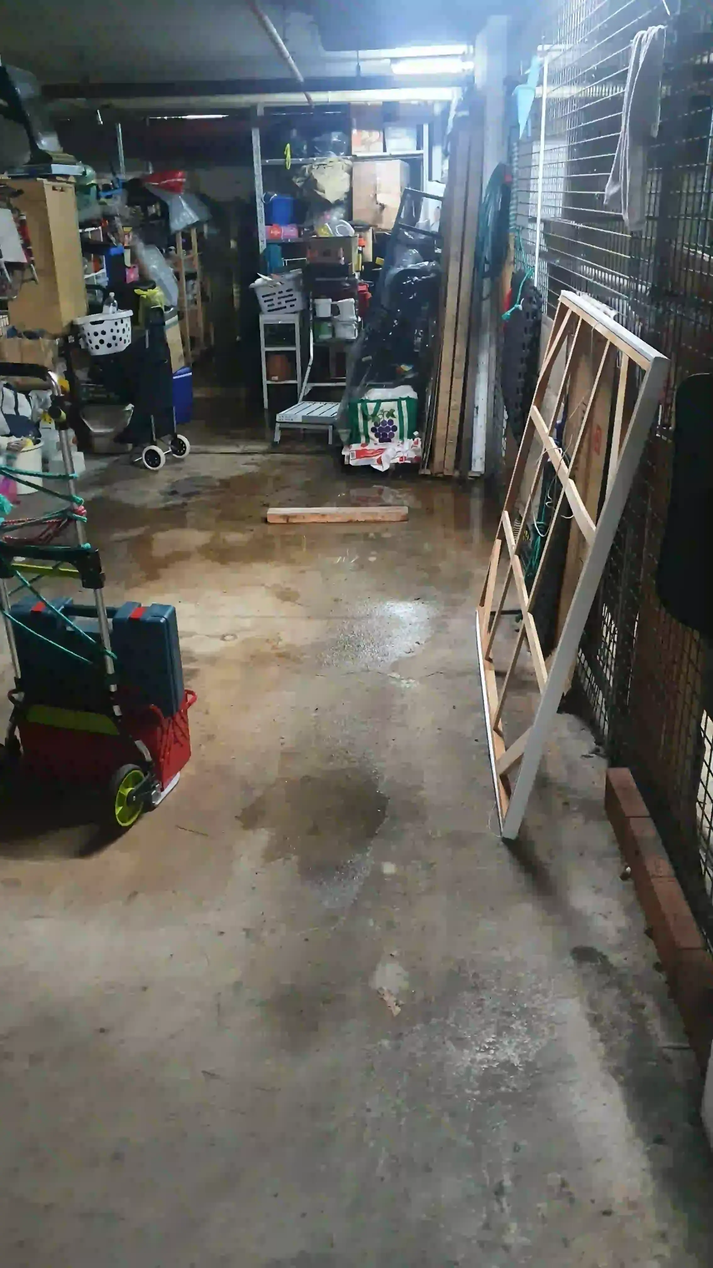 SP52948-examples-of-serious-damages-due-to-water-leakages-in-Lot-186-garage-photo-1-1Mar2022.webp