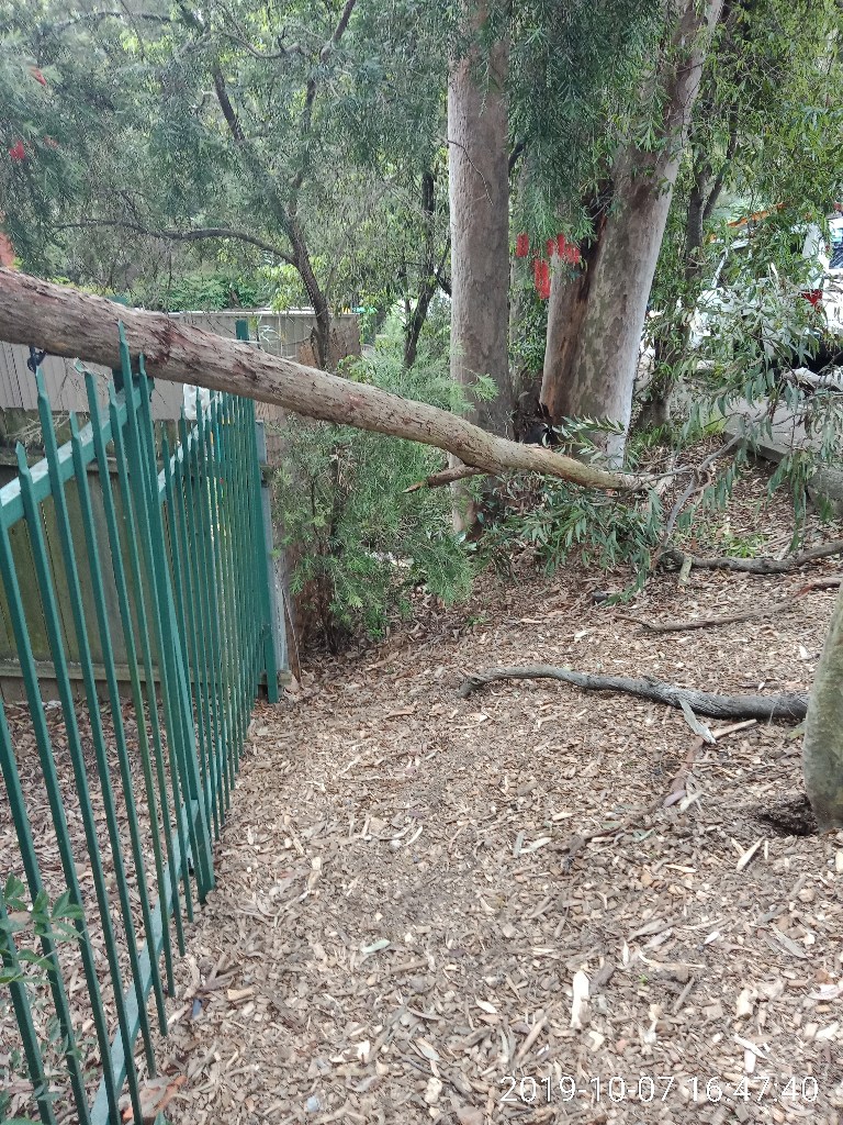 SP52948-fallen-large-branch-over-fence-towards-Fontenoy-Road-photo-3-7Oct2019.jpg