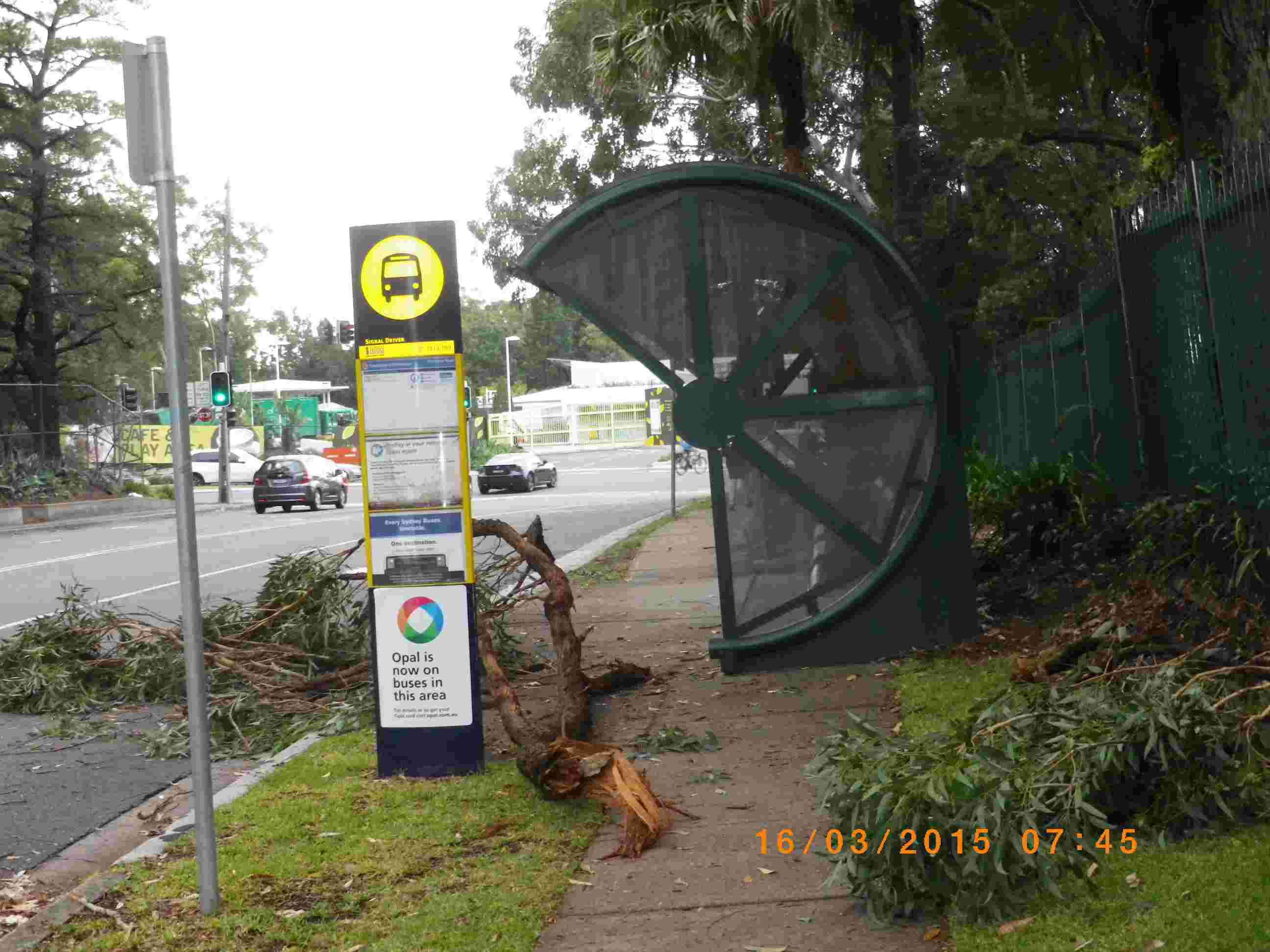 SP52948-fallen-tree-across-the-fence-towards-bus-stop-photo-3-16Mar2015.jpg