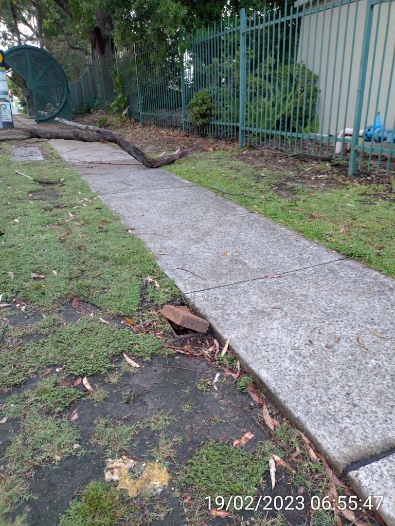 SP52948-large-tree-branch-fallen-on-Fontenoy-Road-photo-14-19Feb2023.webp