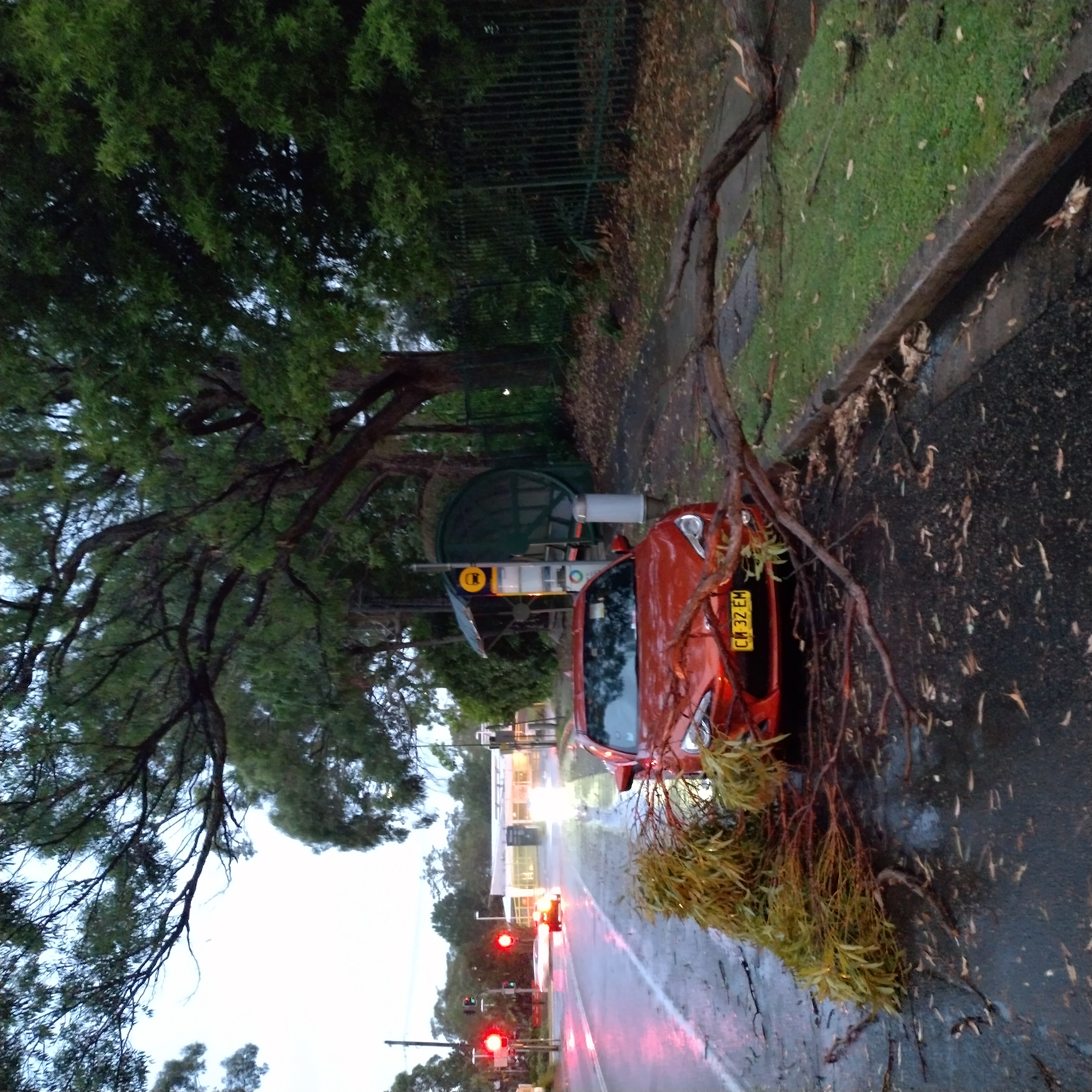 SP52948-large-tree-branch-fallen-on-Fontenoy-Road-photo-2-18Feb2023.jpg