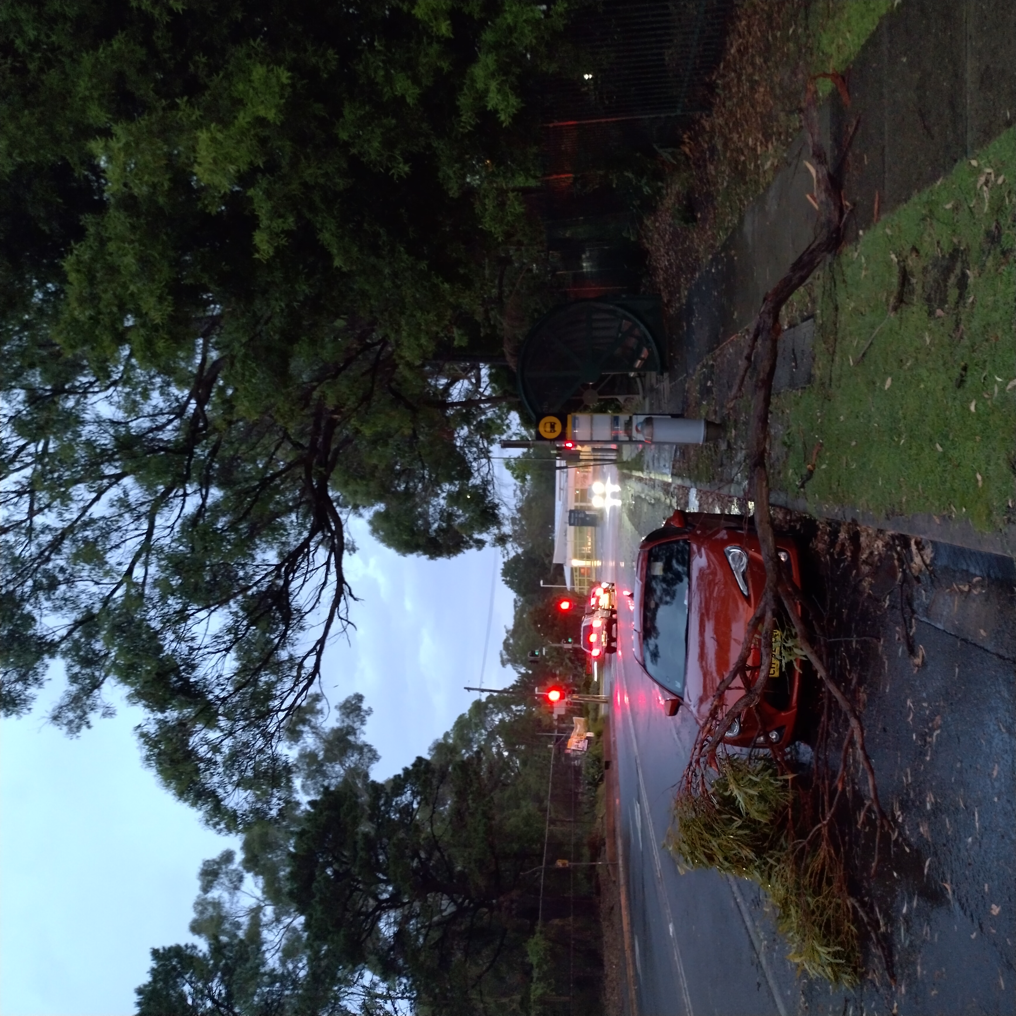 SP52948-large-tree-branch-fallen-on-Fontenoy-Road-photo-9-18Feb2023.jpg