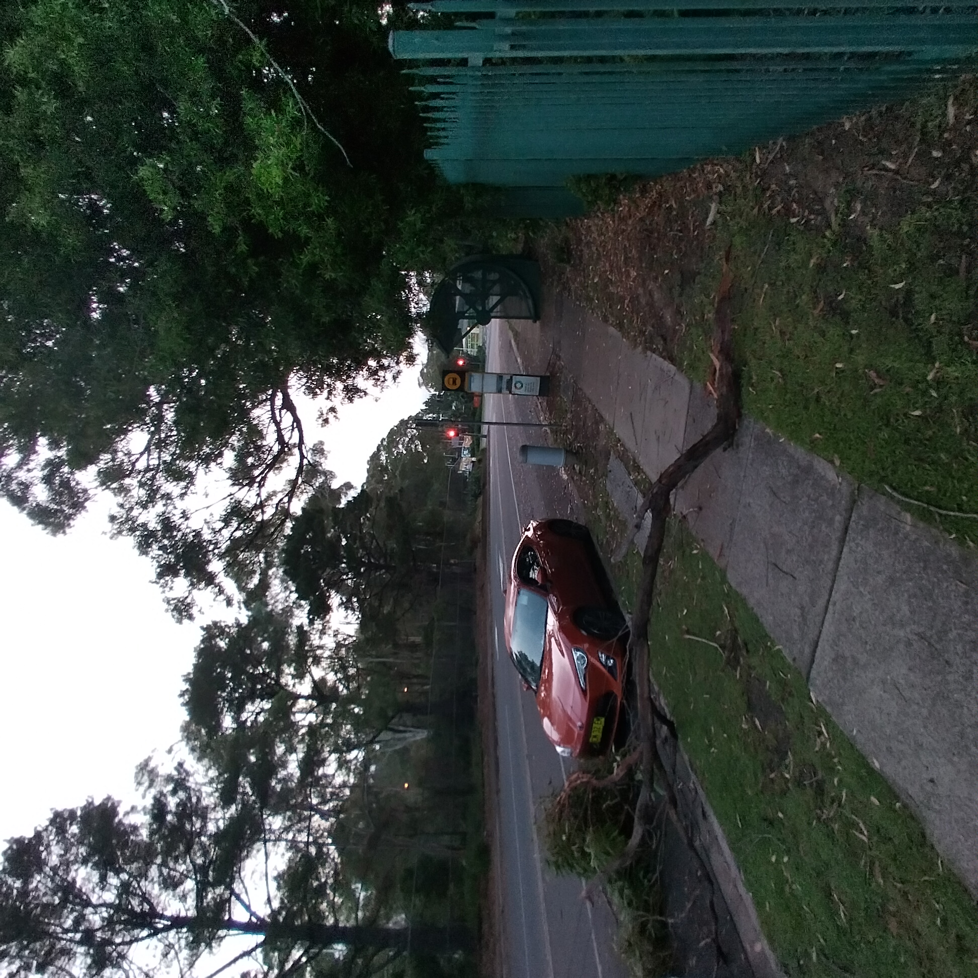 SP52948-large-tree-branch-fallen-on-Fontenoy-Road-photo-9-19Feb2023.jpg