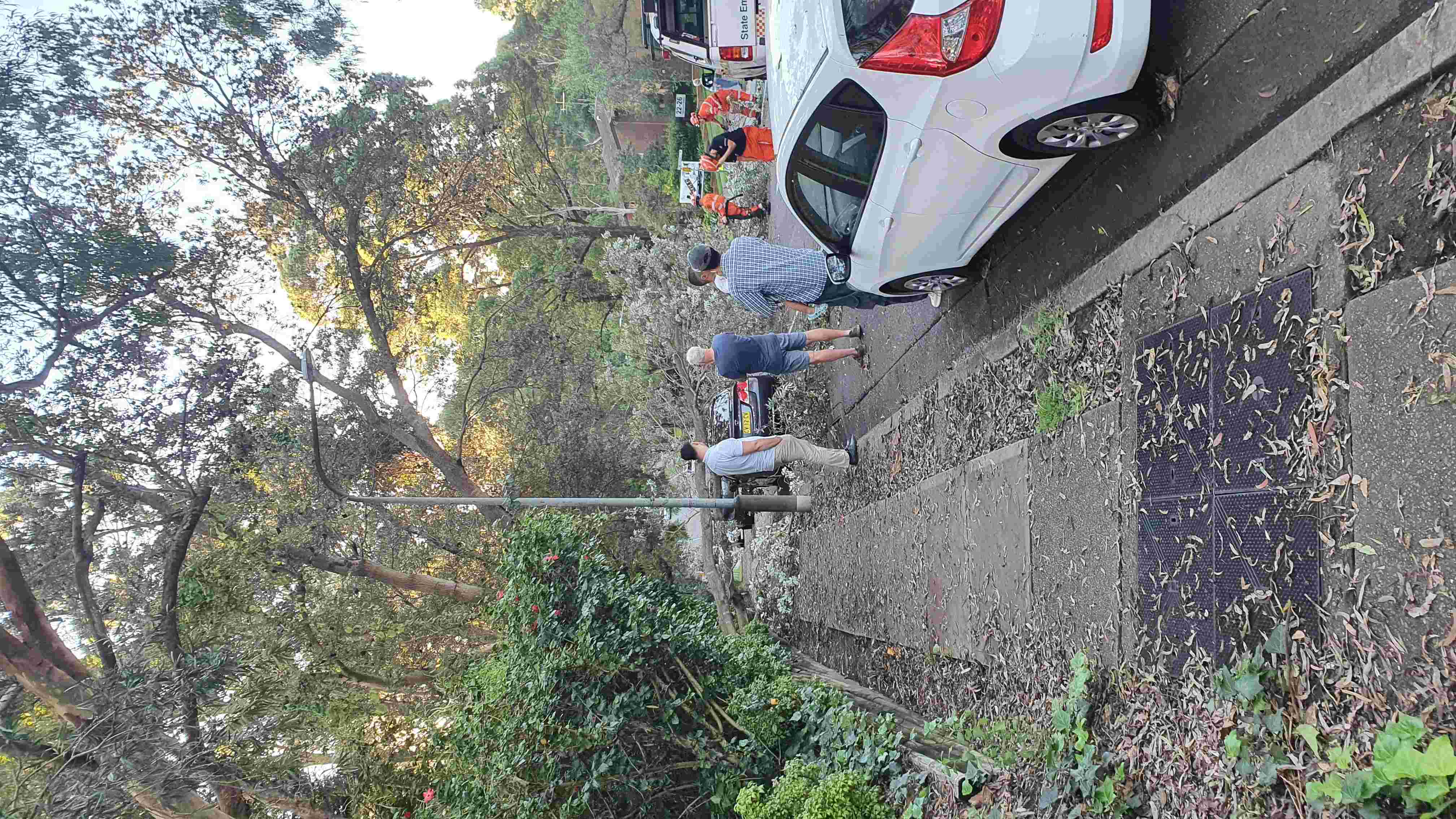 SP52948-large-tree-fallen-on-Fontenoy-Road-photo-1-9Mar2022.jpg