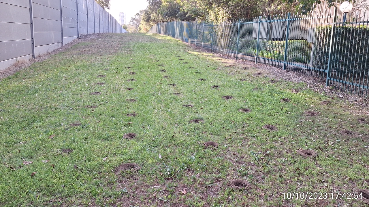 SP52948-new-plants-council-land-towards-M2-motorway-photo-30-10Oct2023.webp