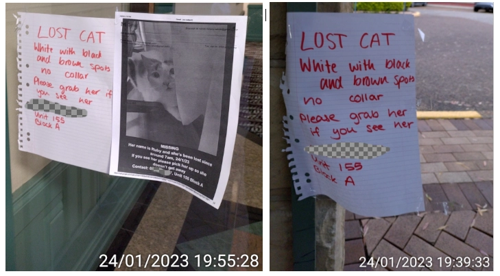 SP52948-notice-about-missing-cat-24Jan2023.webp