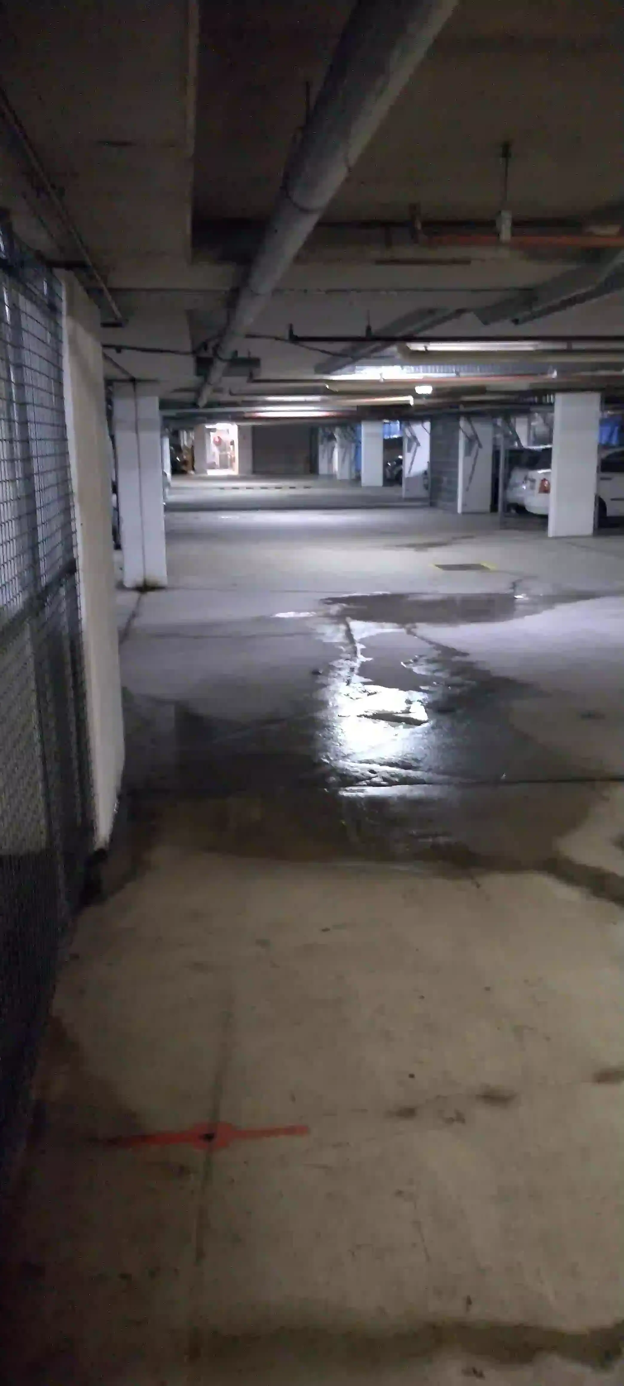 SP52948-persistent-water-leakages-and-water-related-damages-in-basement-photo-1-4Jul2022