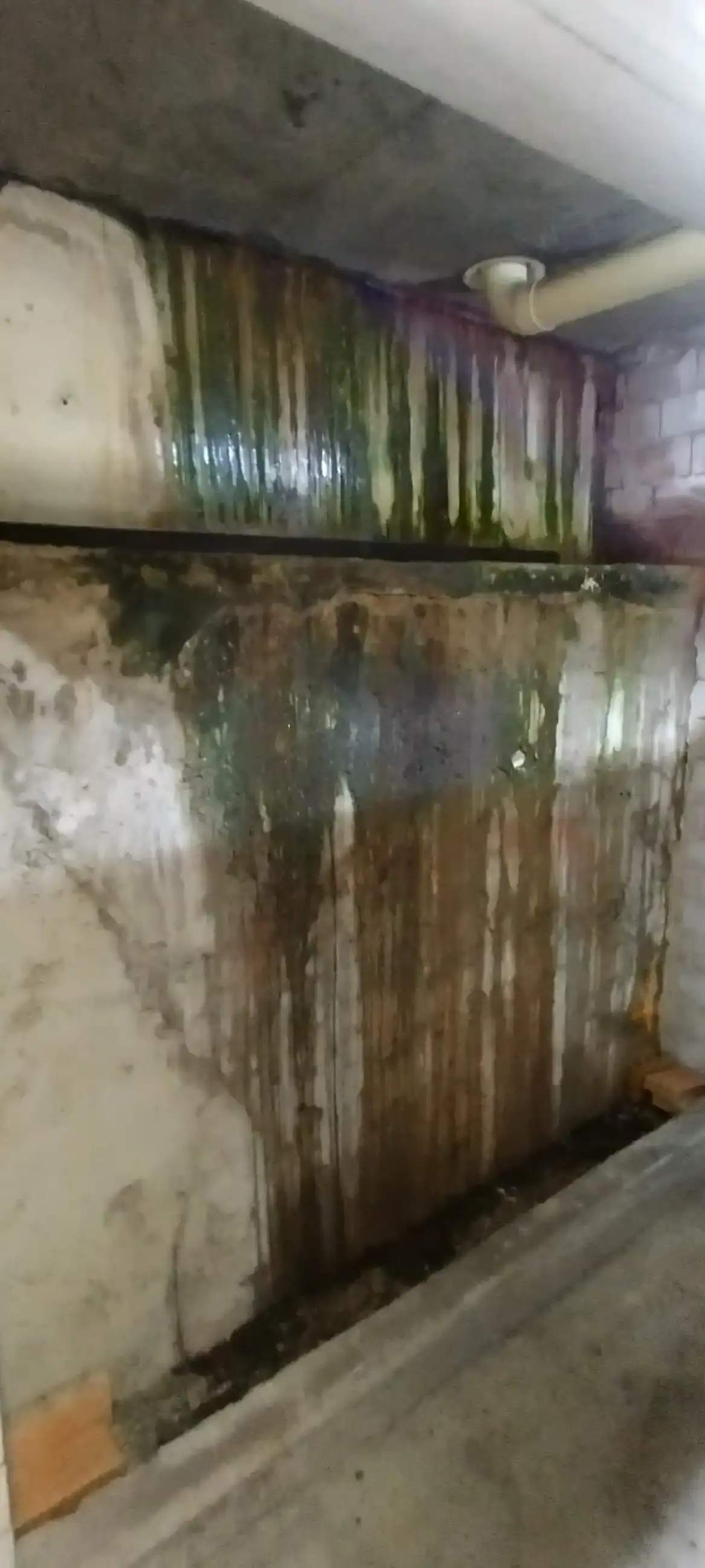 SP52948-persistent-water-leakages-and-water-related-damages-in-basement-photo-19-3Jul2022