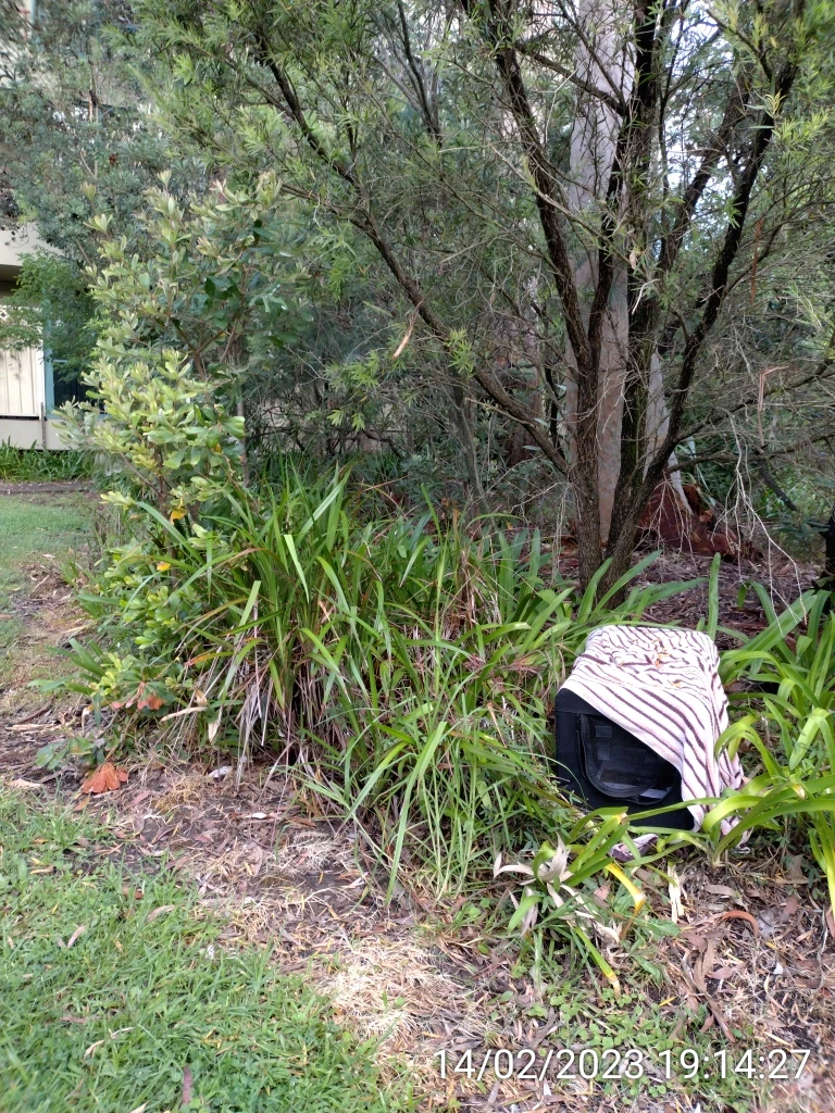 SP52948-unattended-animal-cage-between-Block-A-and-townhouses-photo-1-14Feb2023.webp