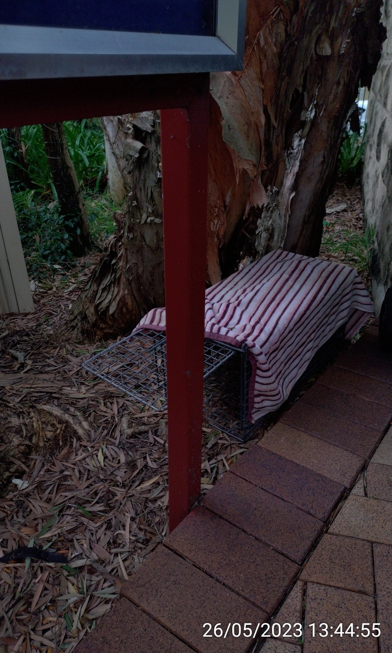 SP52948-unattended-animal-cage-near-letterboxes-photo-3-26May2023.webp