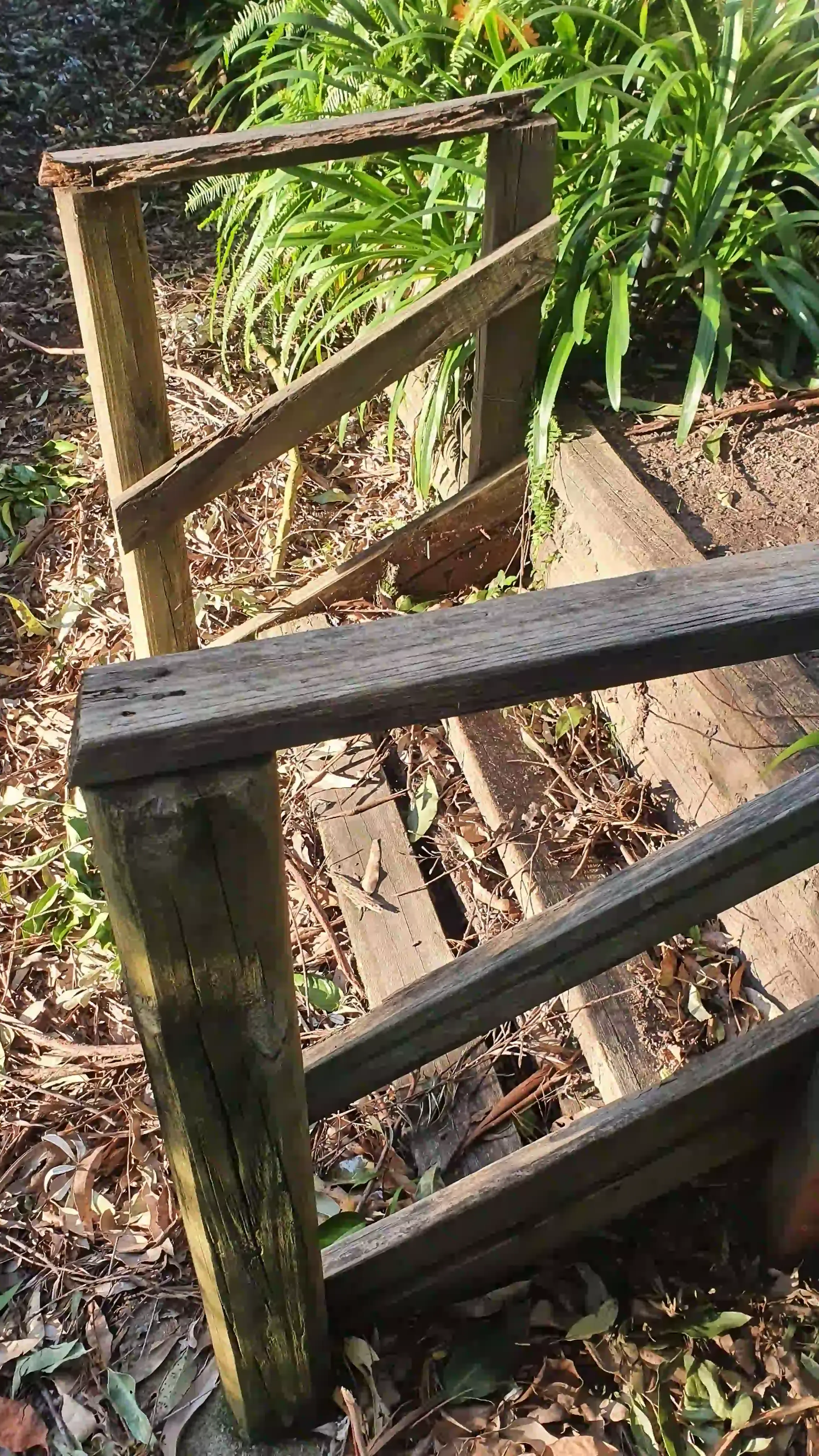 SP52948-unsafe-gardens-without-railings-behind-townhouses-photo-10-7Jun2022