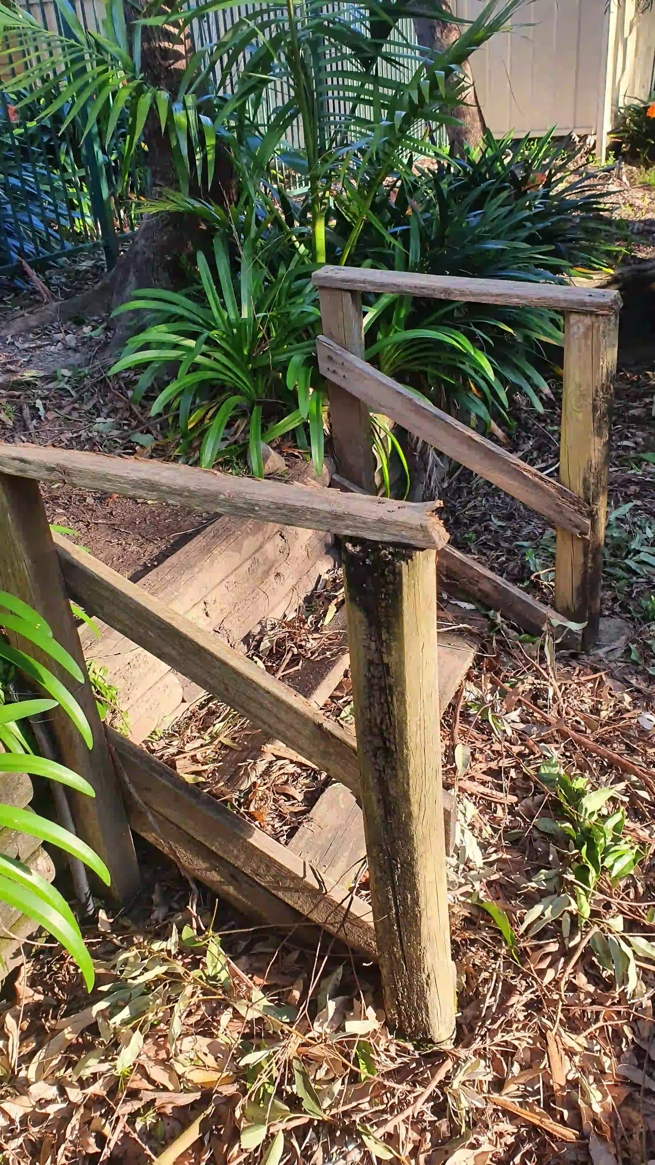 SP52948-unsafe-gardens-without-railings-behind-townhouses-photo-12-7Jun2022