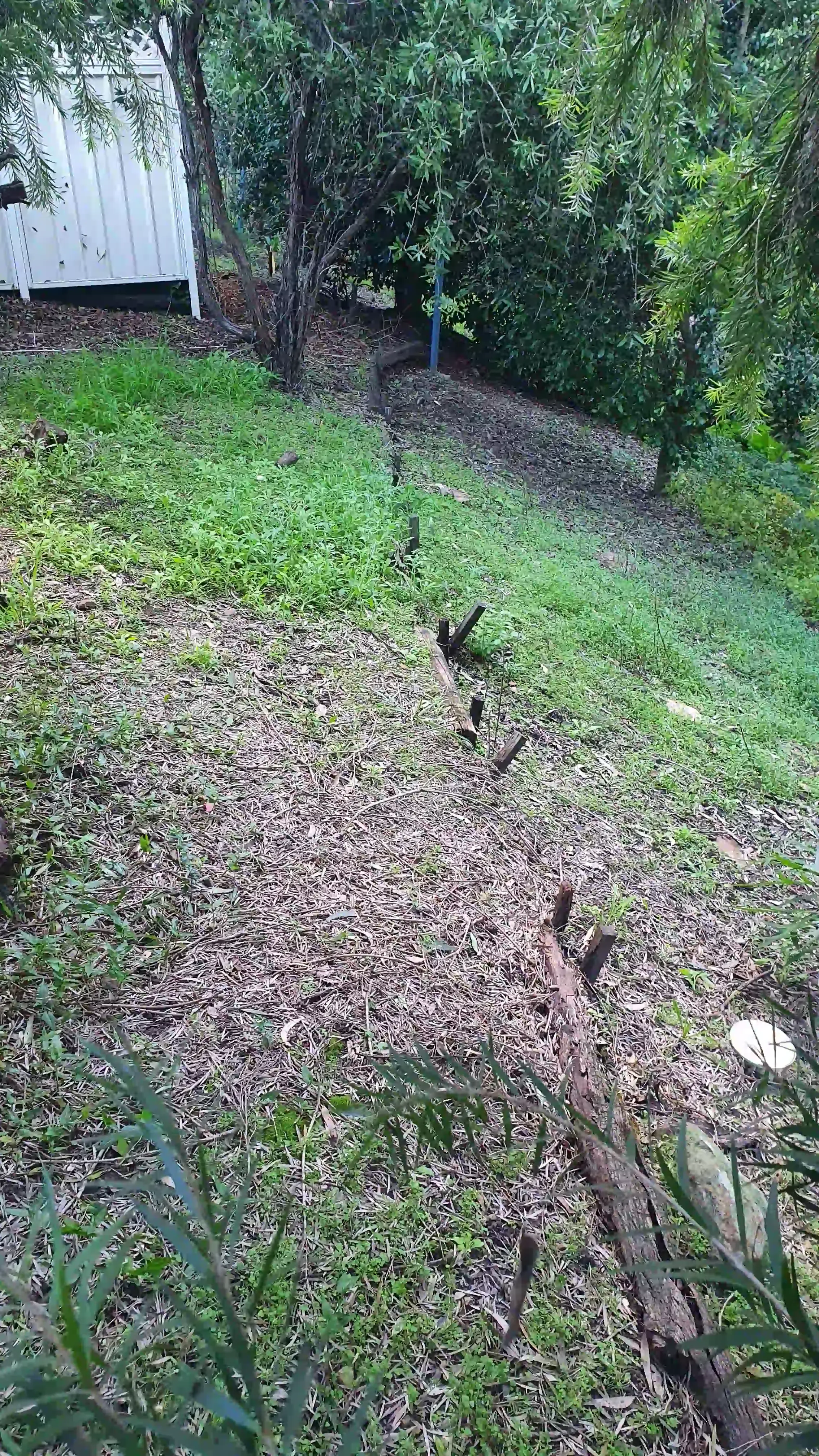 SP52948-unsafe-gardens-without-railings-behind-townhouses-photo-16-7Jun2022