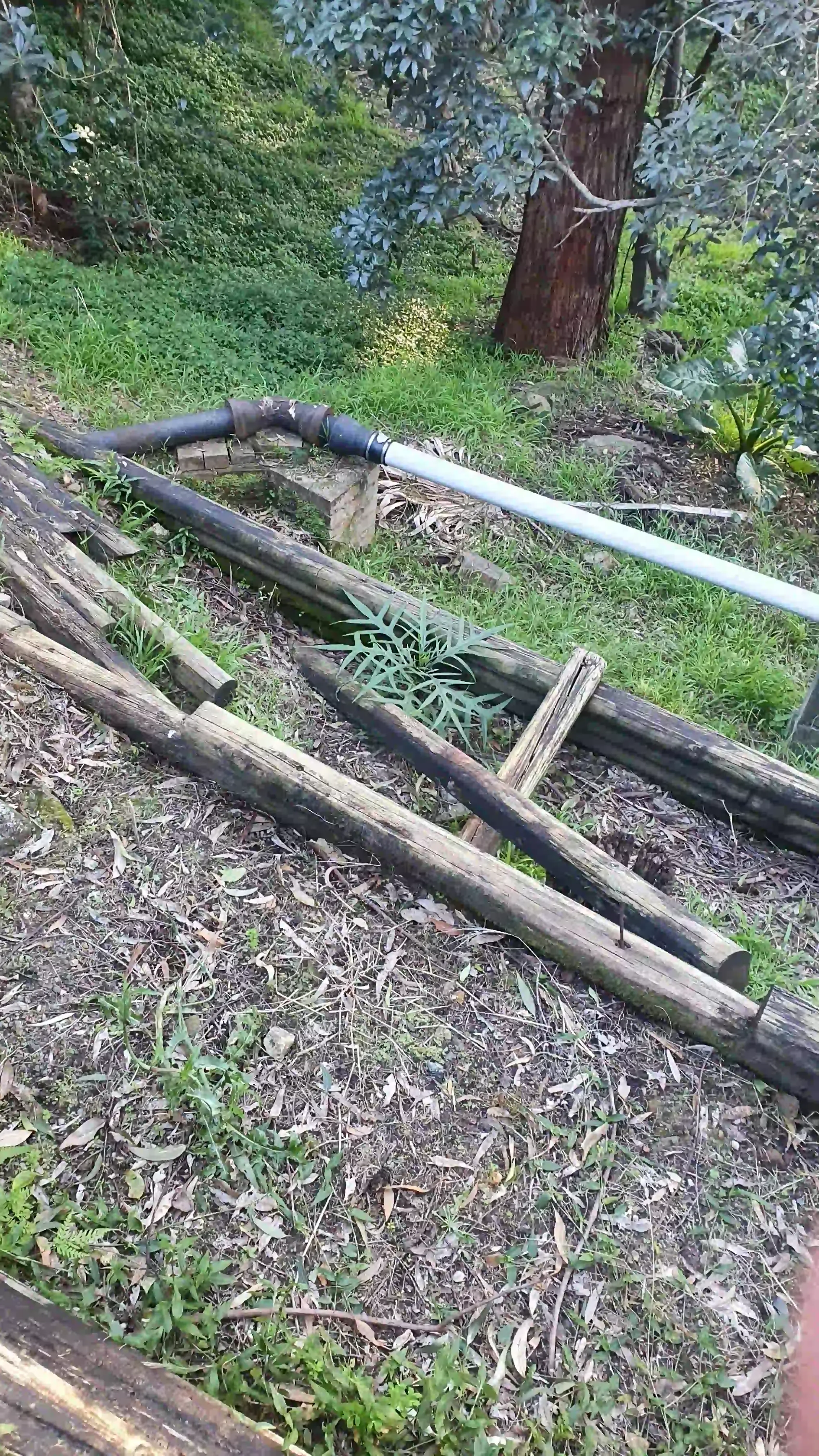 SP52948-unsafe-gardens-without-railings-behind-townhouses-photo-4-7Jun2022