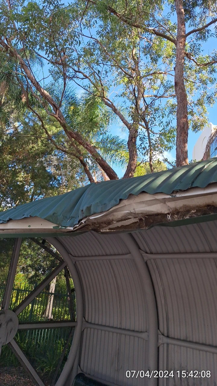 SP52948-Fontenoy-Road-unrepaired-bus-stop-cover-damaged-by-fallen-branch-since-2015-photo-1-7Apr2024.webp